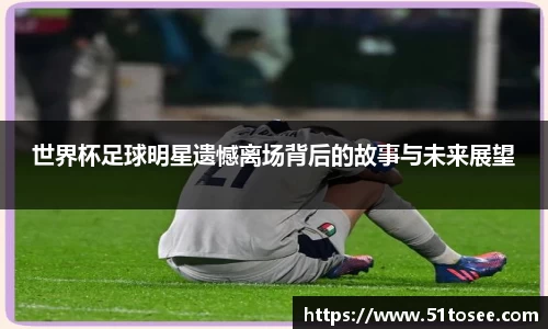世界杯足球明星遗憾离场背后的故事与未来展望
